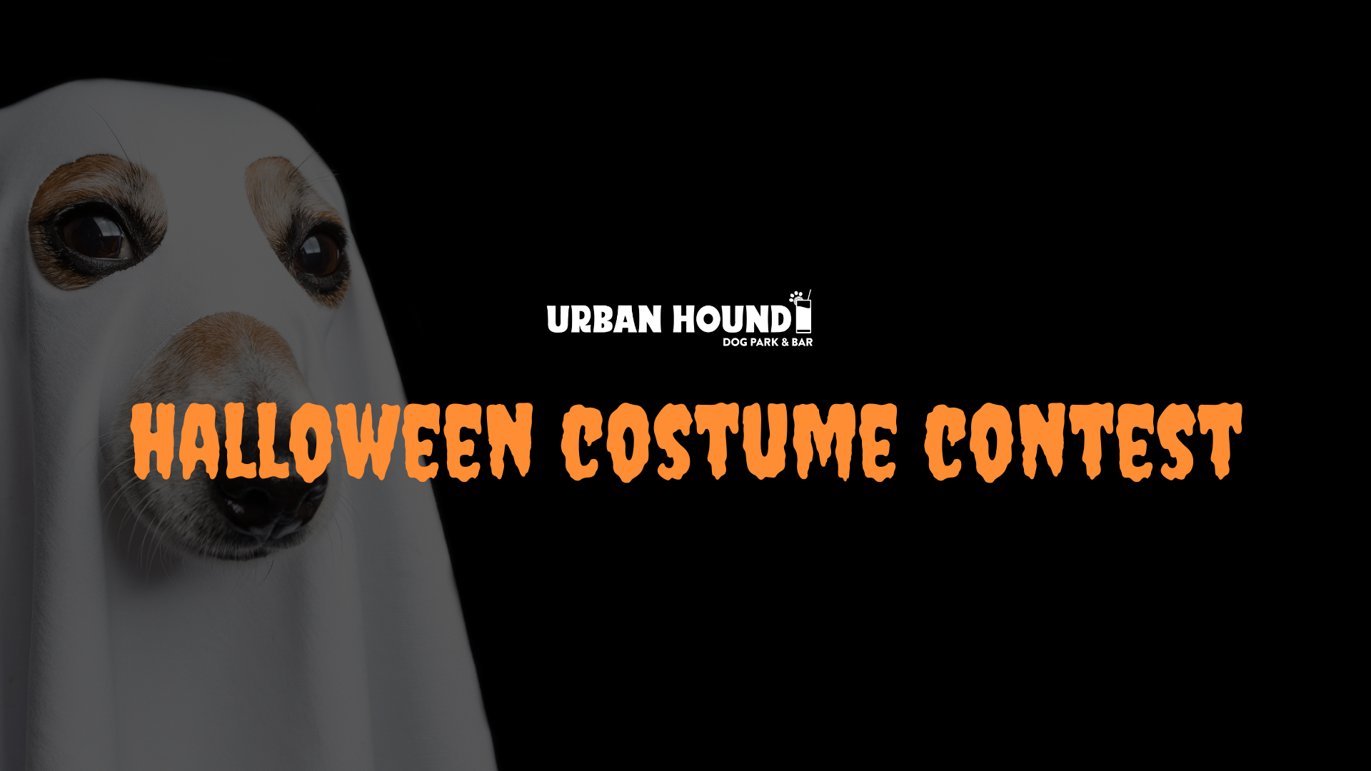 Halloween Costume Contest at Urban Hound