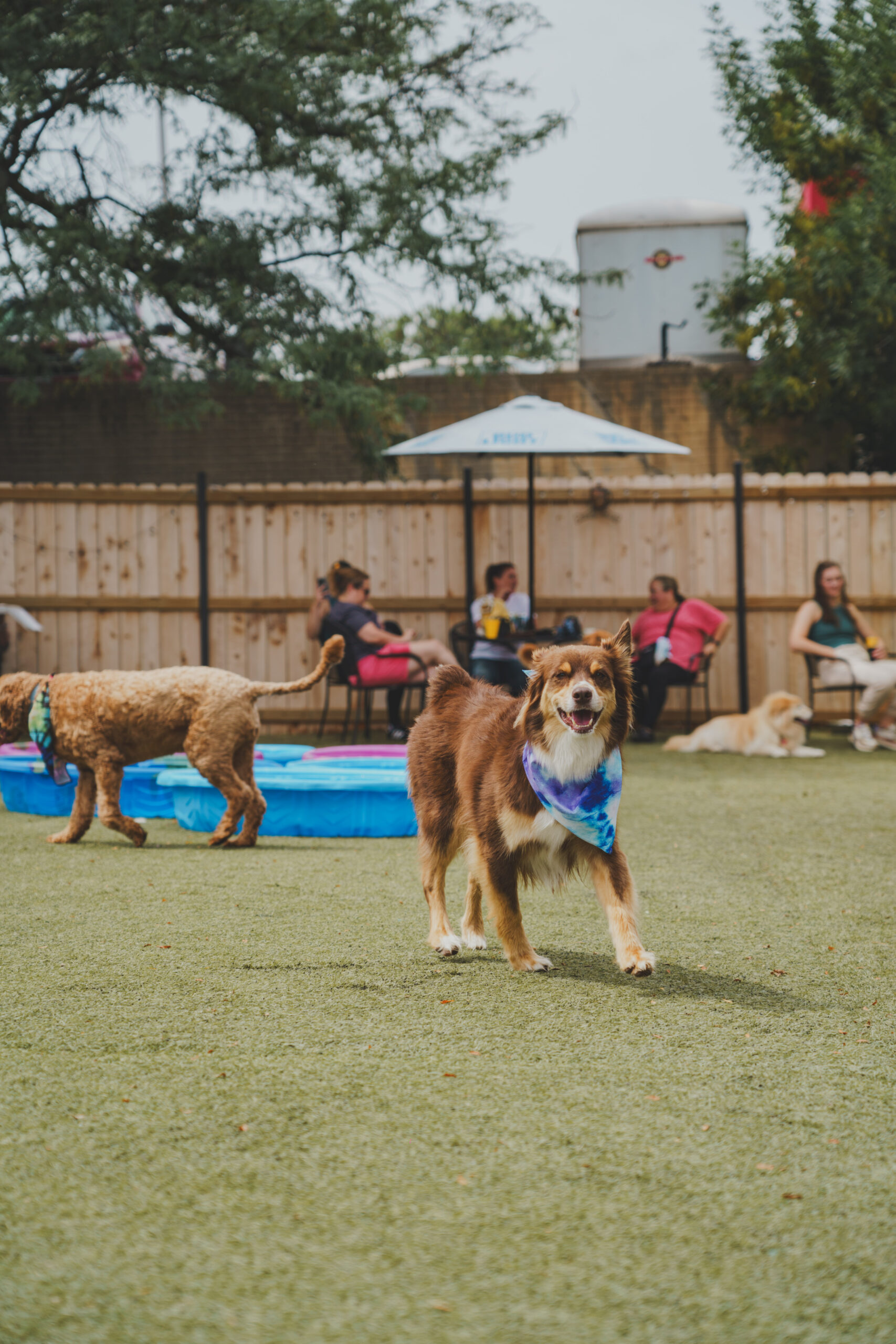 Aussie Meetup