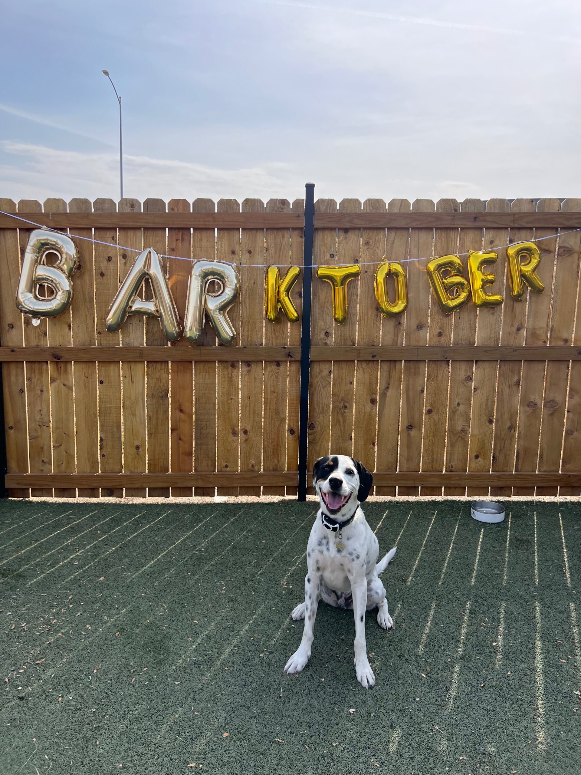 Barktoberfest